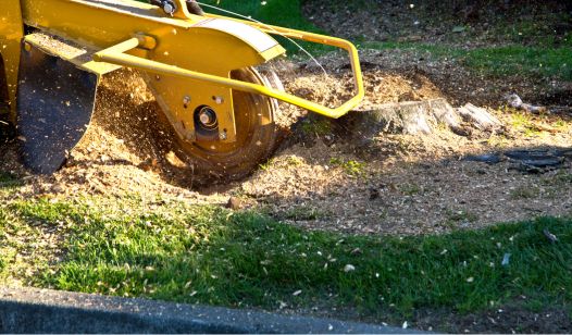 stump grinding process