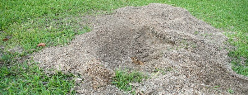 stump grinding services