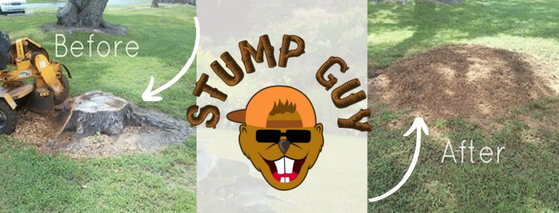 stump grinding process