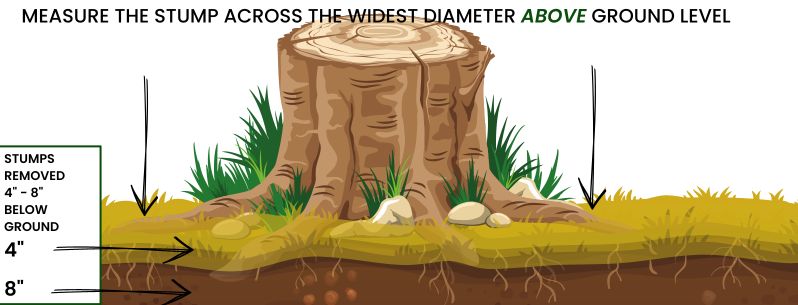 Measure a Stump