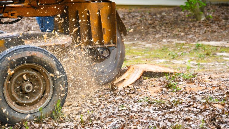 stump grinding