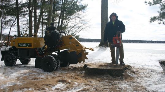 stump grinding