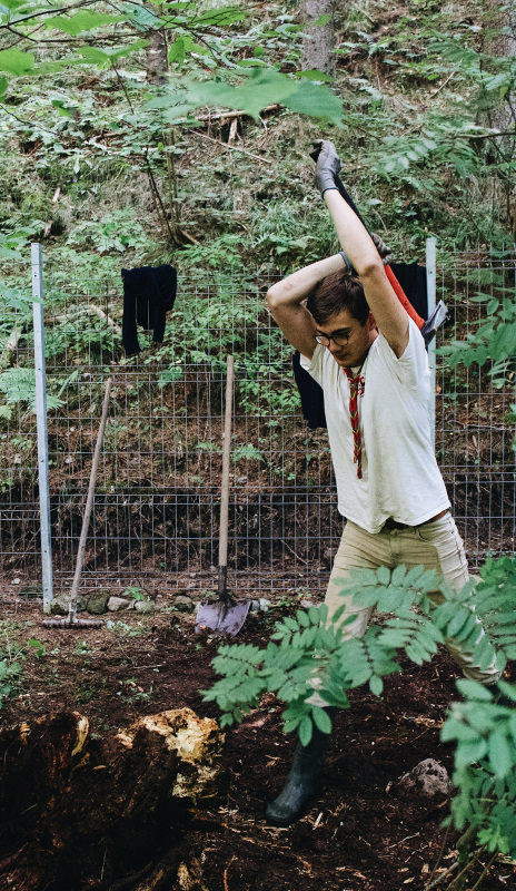 Remove a Tree Stump